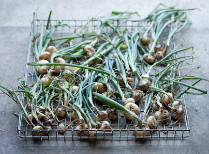 7.27.10_Kessler_32469