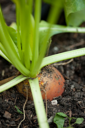 7.27.10_Kessler_32492