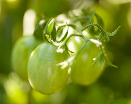 7.27.10_Kessler_32496