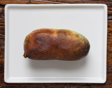 pawpaw_Kessler_31806